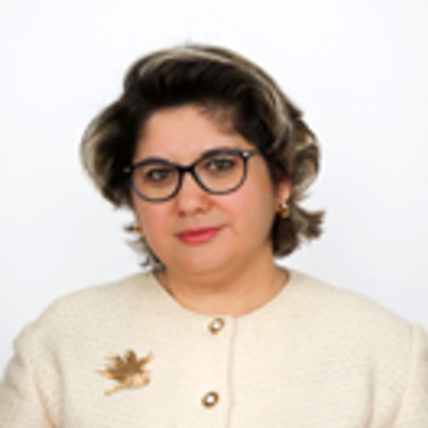 Iulia Matei Secretar de Stat pentru Afaceri Europene, Ministerul Afacerilor Externe, România Iulia Matei Secretar de Stat pentru Afaceri Europene, Ministerul Afacerilor Externe, România